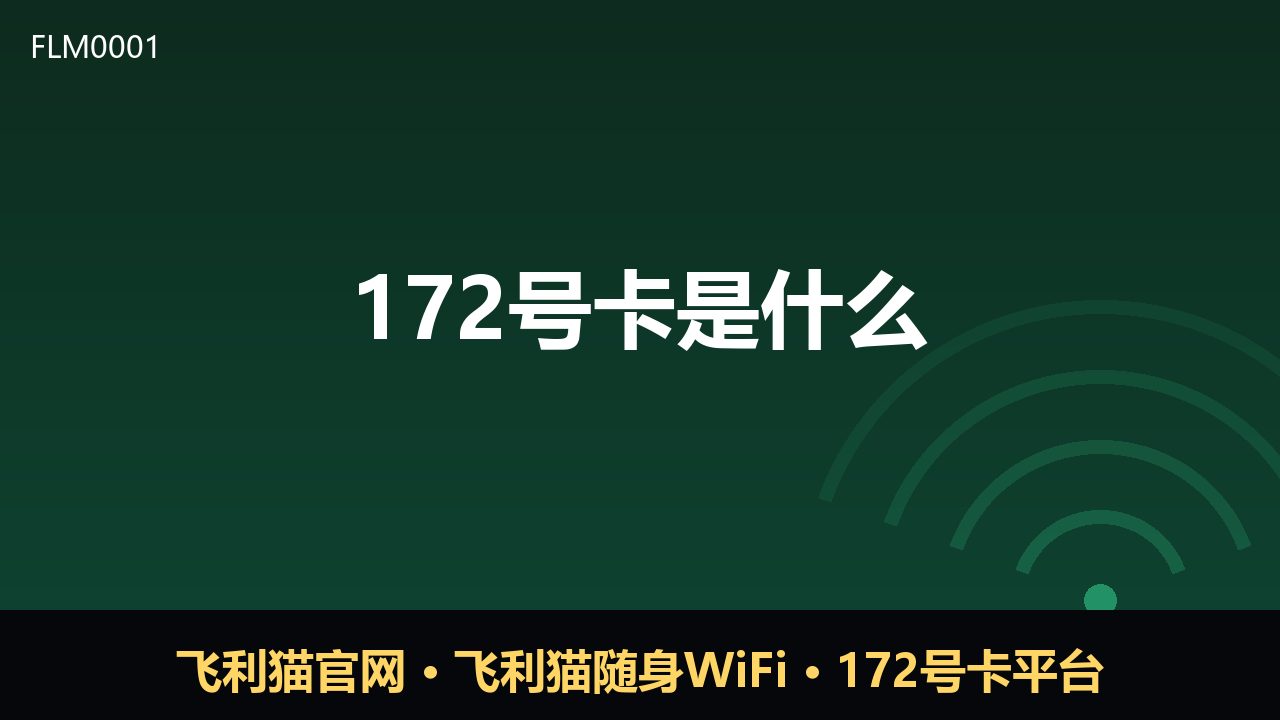172号卡是什么？一文读懂它的用途与常见误区